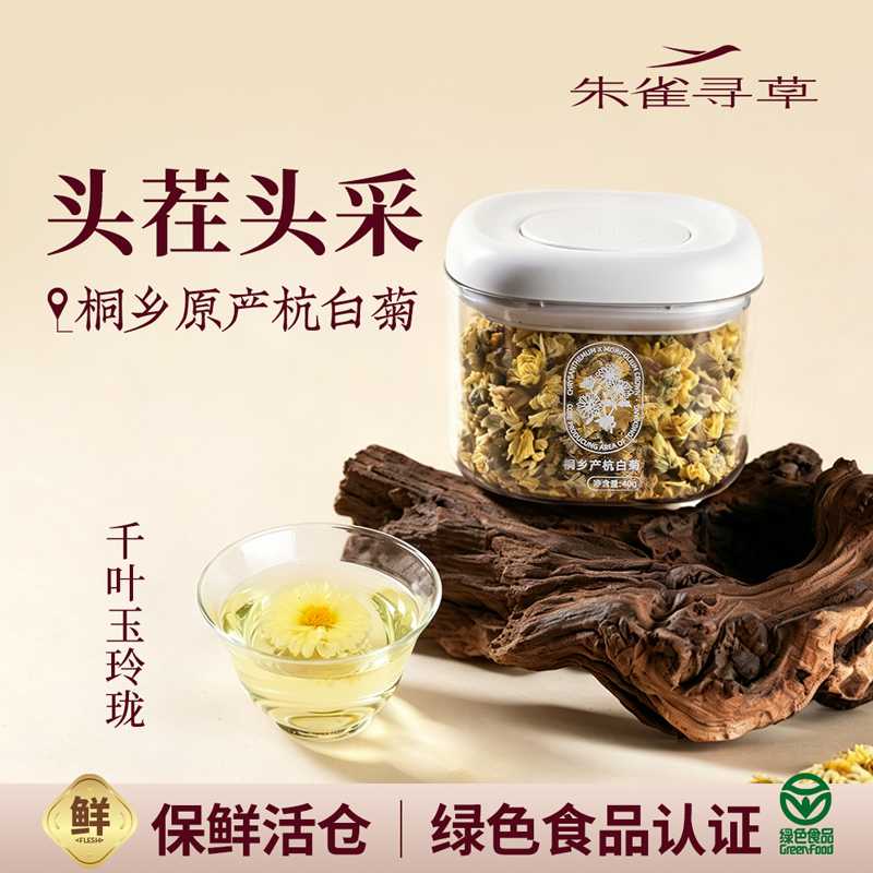 头茬秋采杭白菊桐乡产绿色食品