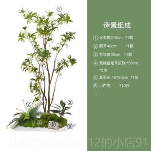 饰仿物真花假花植植景观软装 正品 森空天间楼梯下造景角落南绿竹装
