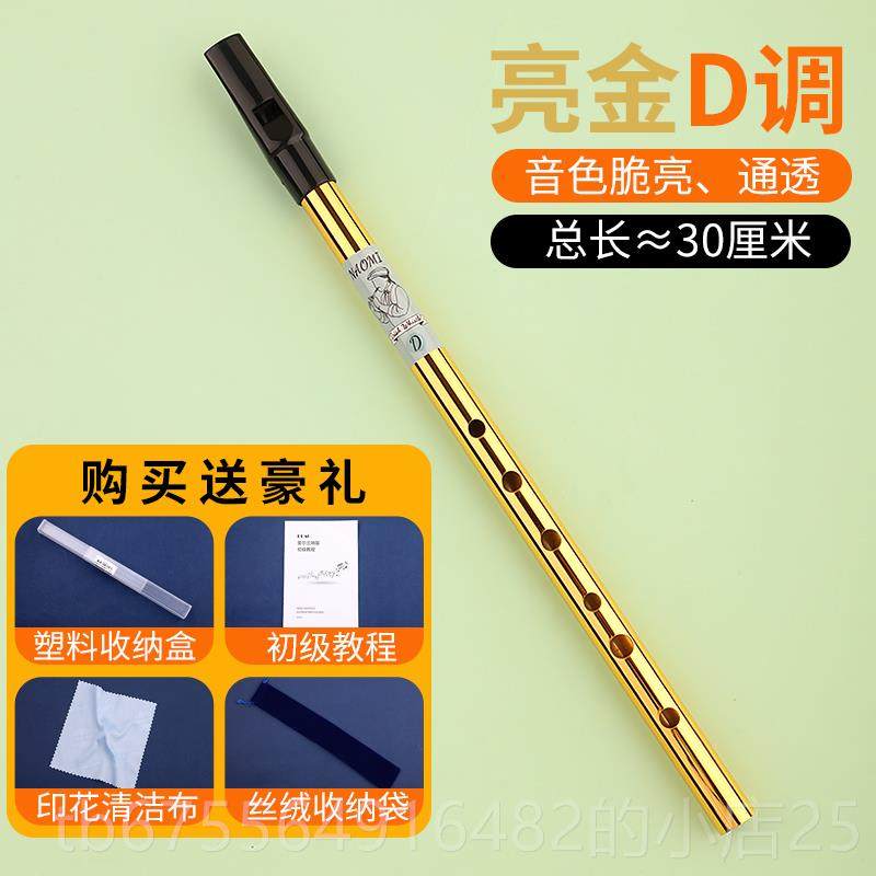 正品爱尔调兰哨初学者入门笛学孔生口笛6cd风笛新款金属直笛笛子