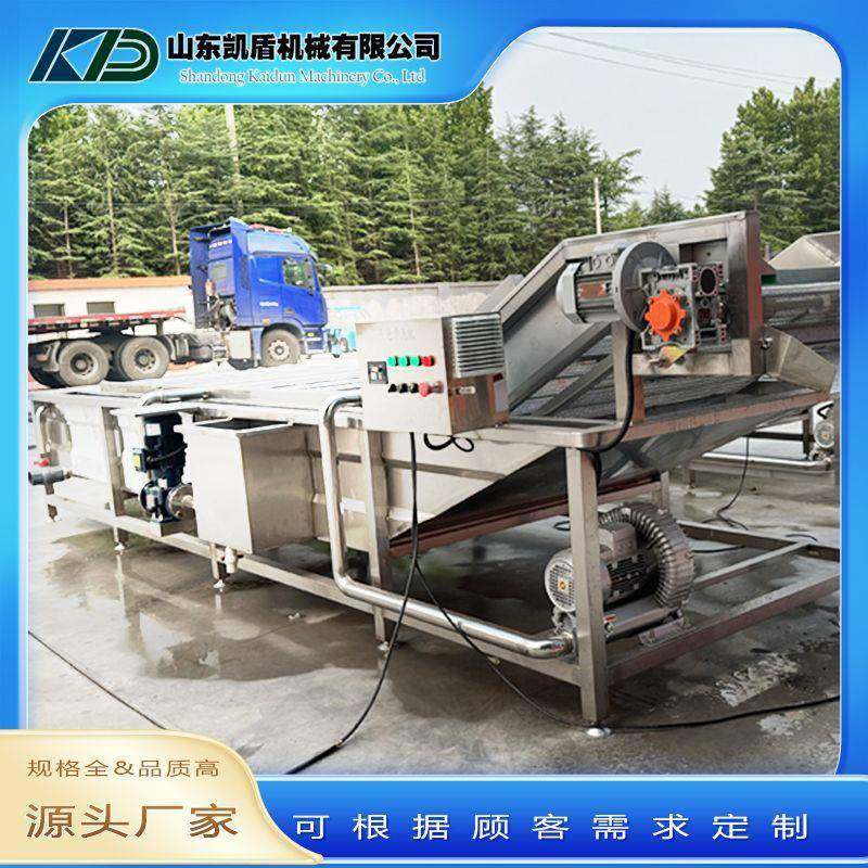 蔬菜水果气泡清洗机高压喷淋式多功能大型中药材五金件果蔬清洗机