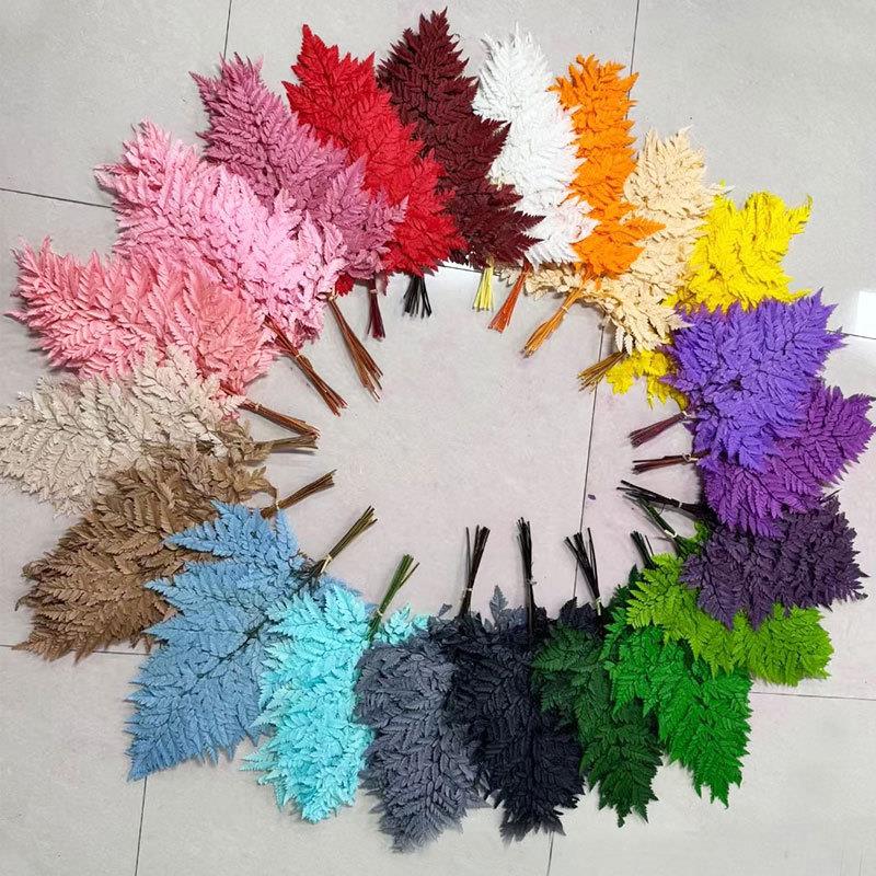 永生花蕨叶龙须草高山羊齿叶干花花束花材金钱蕨压花diy花材