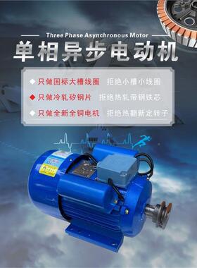 单相电机220v玉粒RYL米机脱机专用电薯磨浆机2800转粉碎机碾米类