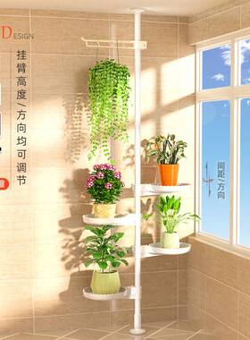 顶阳天立地架台悬挂花架JJX台面置架客厅室物内吊兰绿萝角落花盆