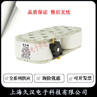 170M7164/7165/7166险/7167/7168/169BUS7SMQUMANN断器保丝FUS熔E