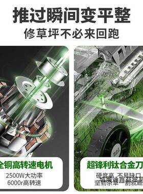 博奥菲草机坪机电动手推式机草坪修剪小型家用林剪草ZNV插电园割