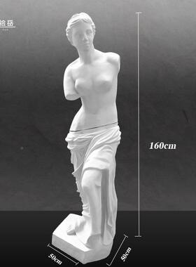 装绘岳1.6M维纳LAH斯全身石膏大石膏头像术素描写生模具美家居像