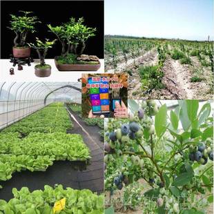 高档壤土多肥要素感测器素水分温度电导率PH力氮磷钾多要养分检测