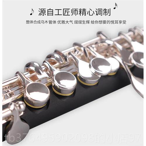新款未诺合成E乌木笛短调西洋乐器VPC-200S初C学管乐队专业演奏镀