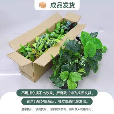 仿真植花箱景槽造TWV仿生假花植物绿组合套装室内商场橱窗摆设装