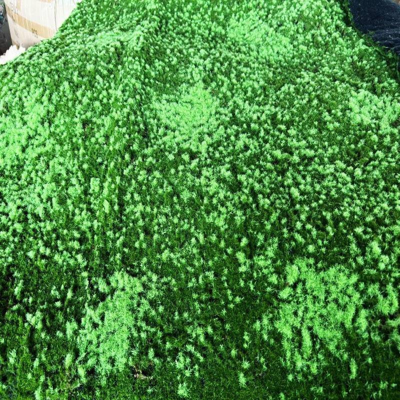 造二颜色仿真苔藓地毯草坪绿种植青苔墙园WFK林装软假山沙盘橱窗