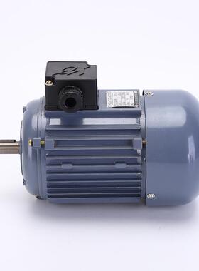 YS71375W02SDJ立式切小法兰片机电机