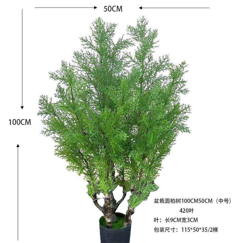 仿真DDH植树物盆栽柏绿植栽圣叶美人松盆小柏树罗汉松盆栽松树诞