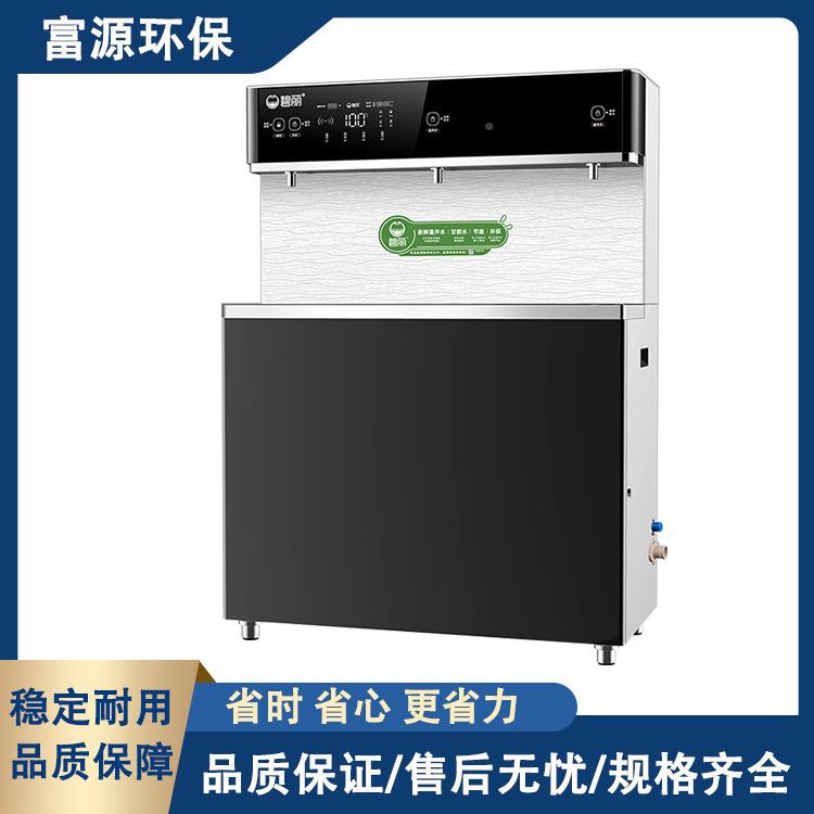 碧商用即热式饮水机式反渗透都丽成直饮台水机DWA恒温温水规格齐