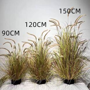 苇狗造尾箱草仿真毛毛虫装饰花尾巴草仿NID真假景观草尾巴景草仿