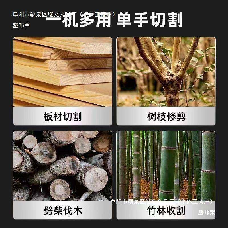 盛邦荣德国刷锂电充电电锯提式电无链锯户用外电动锯家手木工YIO