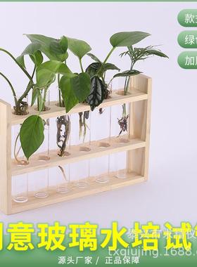 复古原木木艺水培创意桌面居家透明玻璃摆台装饰绿萝植物容器