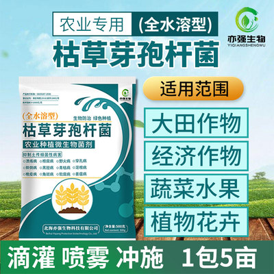 全水溶枯草芽孢杆菌枯萎青枯烂根姜瘟根腐抗重茬微生物菌1000亿/g