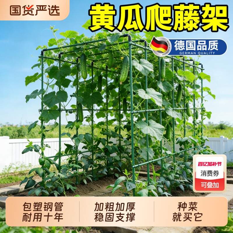 黄瓜爬藤架子豆角架杆楼顶种菜架子丝瓜蔬菜攀爬支撑杆搭棚子支架