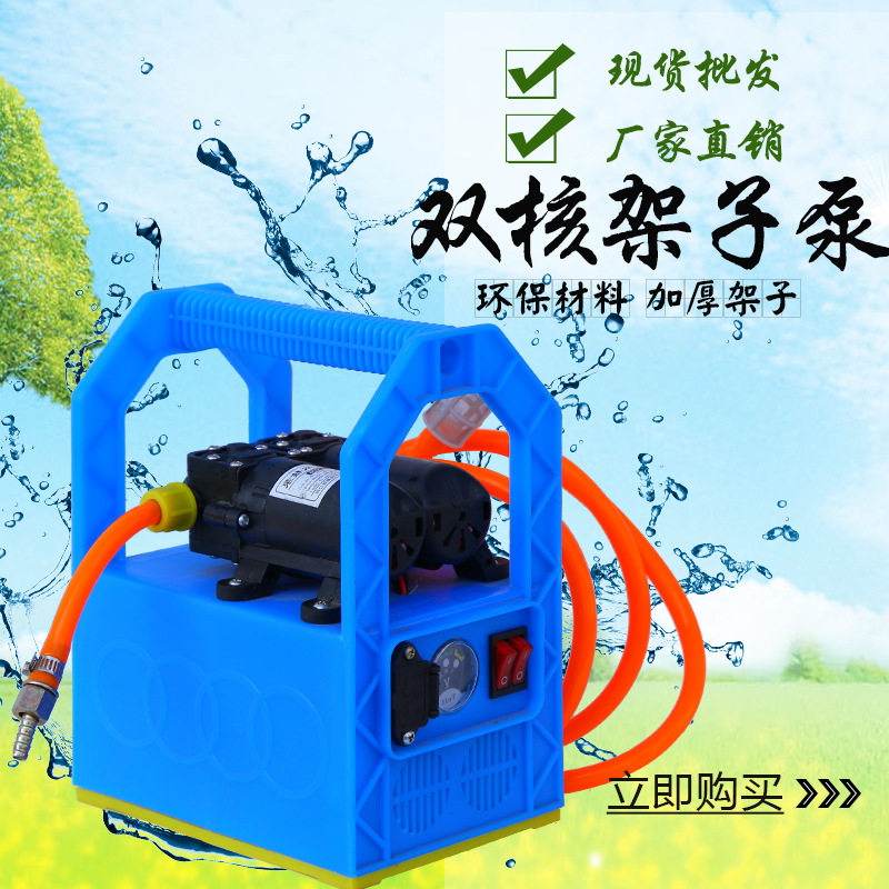 厂家热卖园林果树手提塑料架子双核泵 手提式双核架子泵