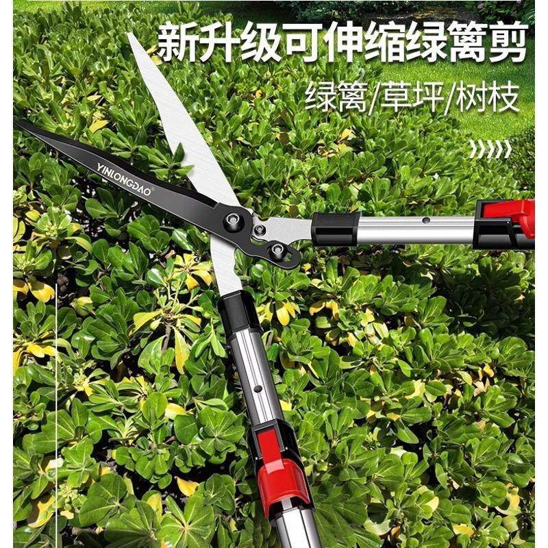 德国进口园艺大剪刀果树枝草坪修枝剪园林绿化工具绿篱剪修剪锰钢