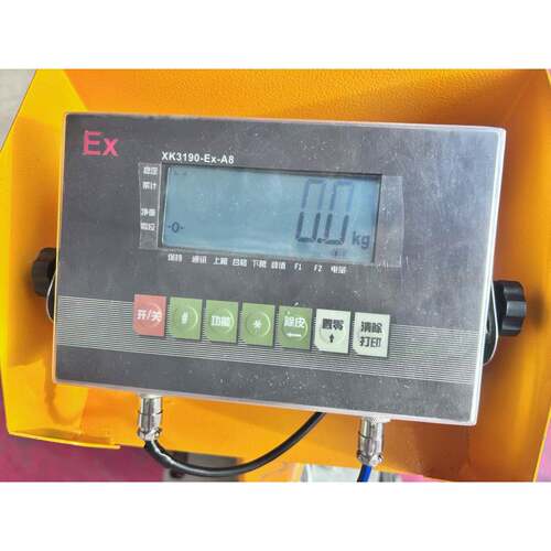 新款上海耀华XK3190-EX-A8防爆型电子仪表表头显示器配件称重器