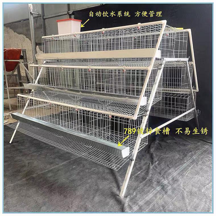 优质阶梯式蛋鸡笼养殖场专用全套