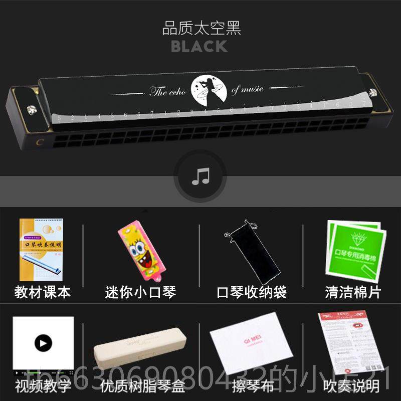 新款乐奇美口琴24孔覆音c调儿童学者学初生成人高级门专业入演奏