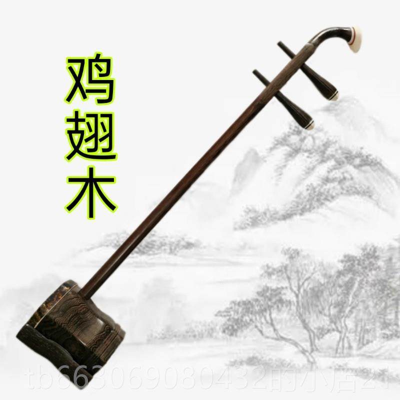 高档二胡乐器儿童入家门考演奏黑檀酸枝花梨品高山流水厂直销正级