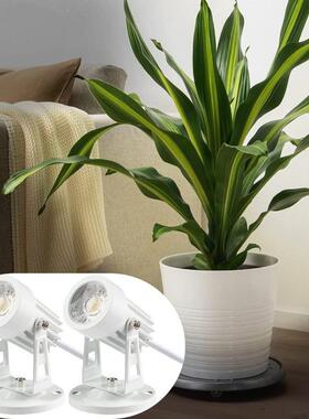 白色宽压USB接口3w5w户外庭院灯可调光调色定时配充电器脚踩开关