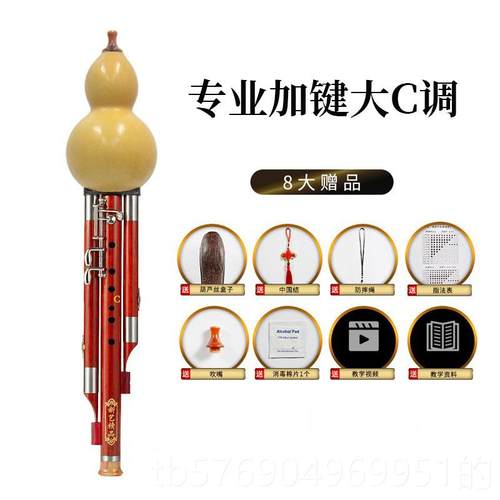 新款新艺木音宽管7孔加3键葫芦丝乐器 降b调c专调业演奏红型成人