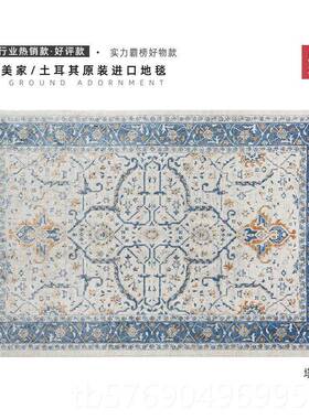 新款土耳覆其进口波地毯客厅现欧代卧室美式轻奢式古耐脏地垫斯茶