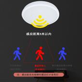 振辉36V低382860压智能吸顶灯L7ED过道走廊灯具楼梯雷ZF ZFJ灯C