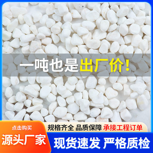白色鹅卵石厂家园艺盆栽庭院铺路小石头碎石园林枯山水造景白石子
