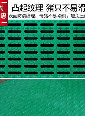 合漏母粪板板猪用RXY猪产床小猪保育BMC树脂复复合育肥板塑料漏粪
