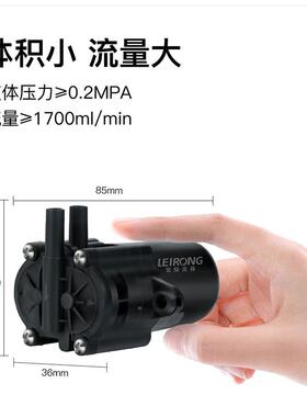 雷熔微小型P2L有水刷防电机齿轮790泵工业G伏灌装机抽油12V24微型