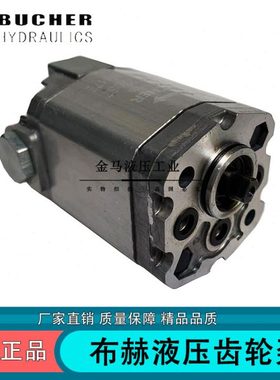 齿轮泵AP100-1.2/1.7/2.5/3.5/4.3/5/6.5/8/10德国布赫BUCHER油泵
