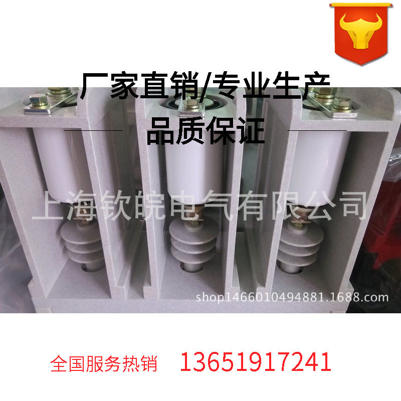 10kV交流高压真空接触器