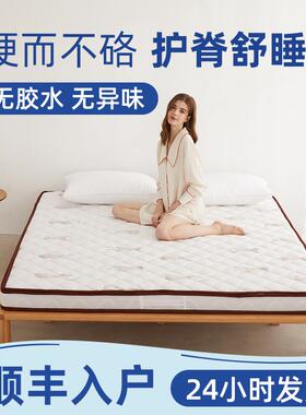 天ZQ椰ZAR棕床垫童棕垫护脊偏硬儿厚棕榈然薄乳榻胶家用软垫榻米