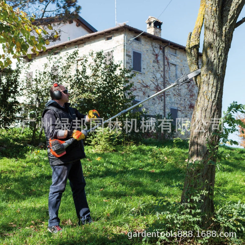 意大利欧玛原装进口汽油高枝锯