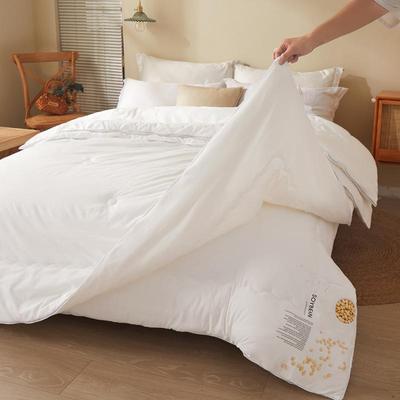 被子被cw磨毛子母婴被二合一拉链款加厚冬冬季儿童被芯被棉春秋被