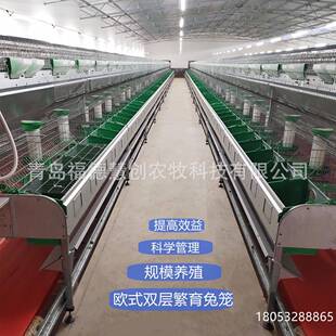 ADI笼养肉子兔种兔兔笼繁欧式双层殖兔具