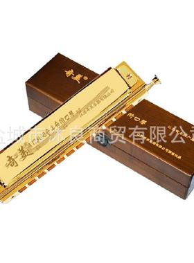 奇美牌12孔48004音镀钛半音阶口琴学成生口人入级门演奏琴