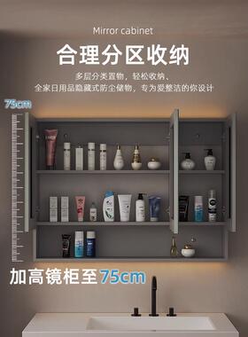 一A9L浴室能镜柜单独卫加高加深生智间挂墙式镜子置物419架收纳体