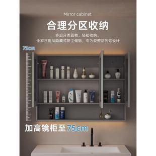 一A9L浴室能镜柜单独卫加高加深生智间挂墙式 镜子置物419架收纳体