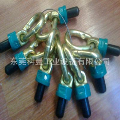 德国JDT进口旋转吊环THEIPA