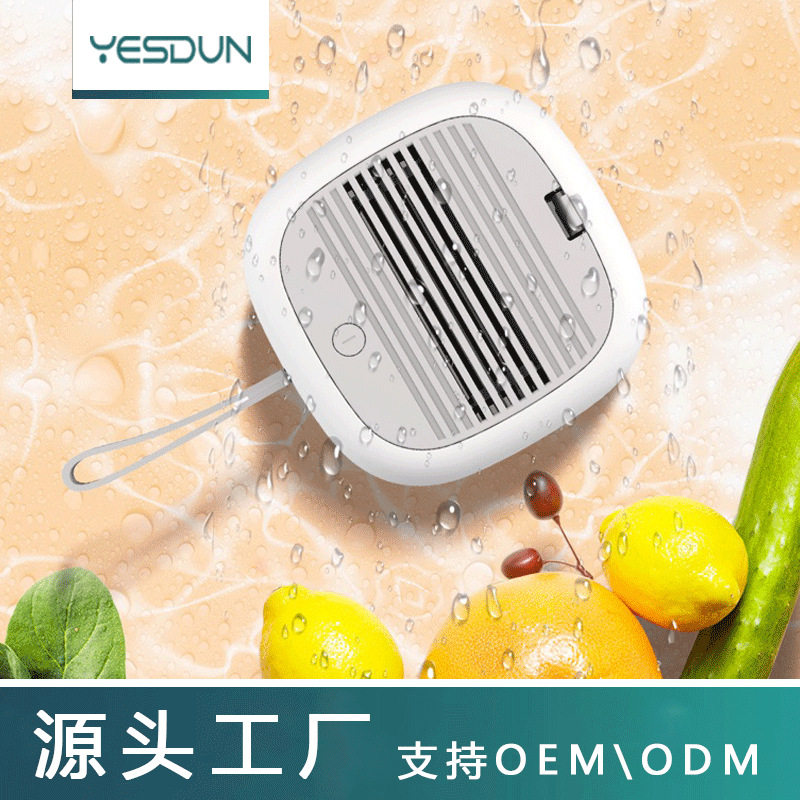 便携式家用智能果蔬净化器无线除菌清洗食材果蔬消毒机厂家直供