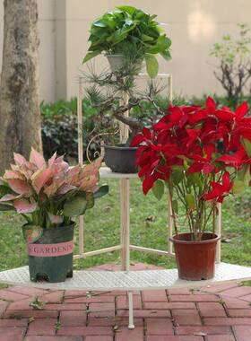 美复古外庭院铁艺花架室外花CJO园落地角花盆架半户圆墙多式层置