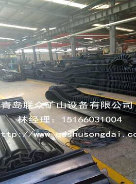 耐酸输挡用挡边输送EP300带化肥厂边输送带耐腐挡板隔板送带