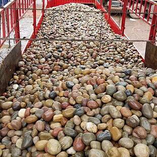 杂底色鹅卵石雨864花滩石河石园林工程铺路石水池石垫变压器回填