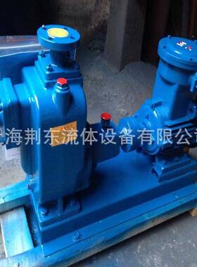 不钢Z自吸排污泵Z锈WPSW自吸泵X无堵泵塞排污化工自吸泵ZW250-420